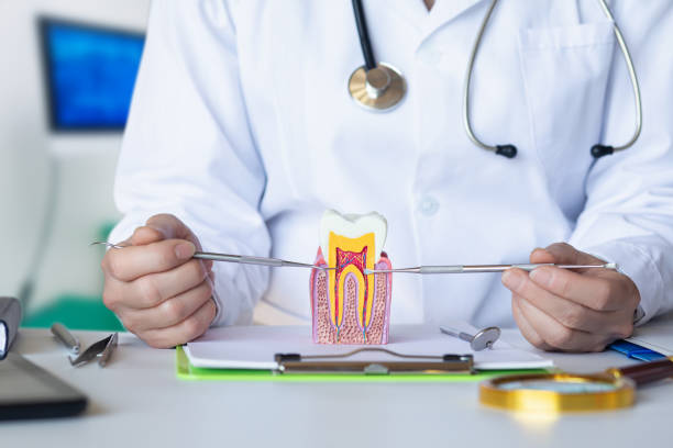 Best Root Canal Emergency Dentist  in Woodsboro, TX